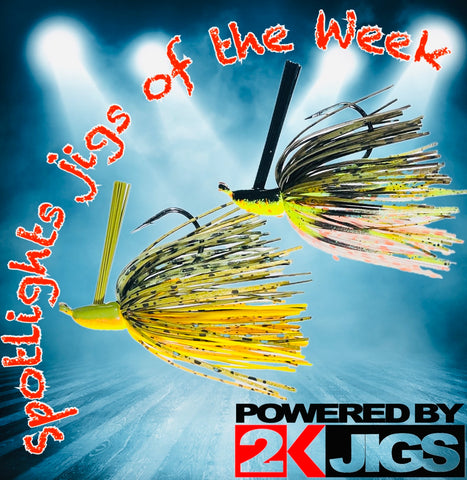 SPOTLIGHT JIGS OF THE WEEK