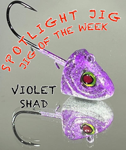 2K SPOTLIGHT JIG! DEPOSIT HEARTBREAKER! VIOLET SHAD!